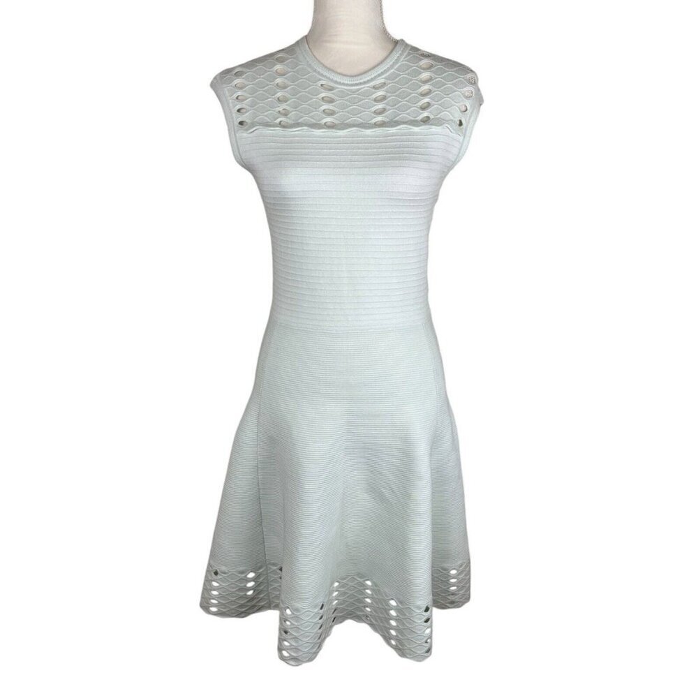 Ted Baker Mint Green Zaralie Jacquard Panel Skater Dress Size 8
